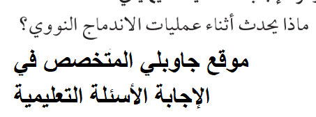 ماذا يحدث أثناء عملية الاندماج النووي
